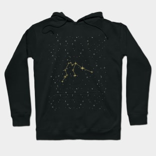 Aquarius Star Constellation Hoodie